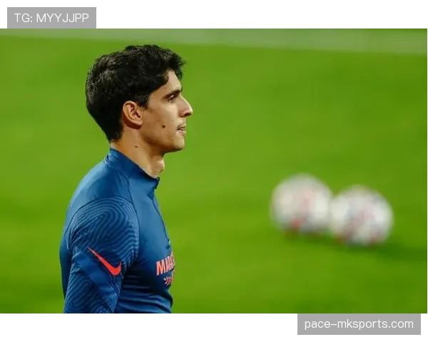 年轻球员赛季初惊艳表现引爆全球关注，竞技实力显著跃升