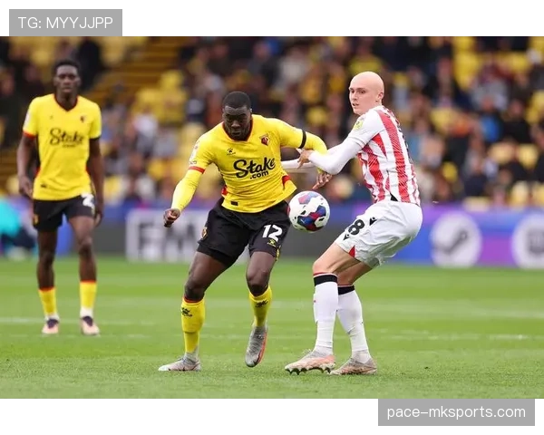 德比郡球迷热情高涨，助力球队新赛季表现持续向好