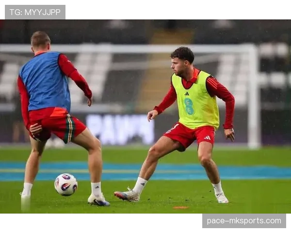 威尔士在欧洲杯预选赛中表现稳健，力争晋级决赛圈