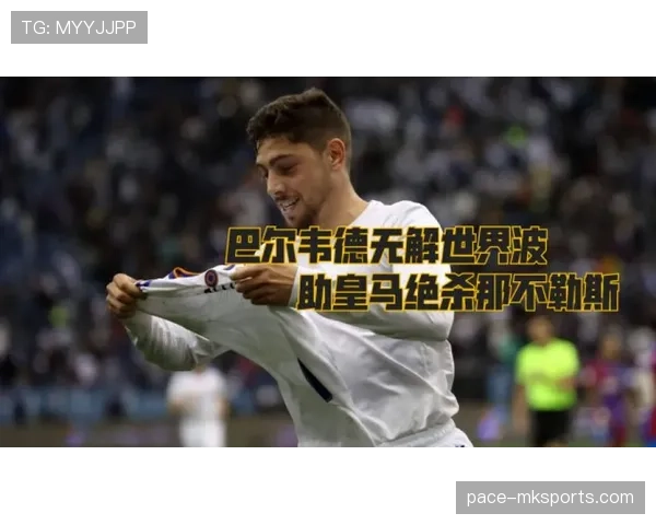 巴尔韦德远射世界波集锦