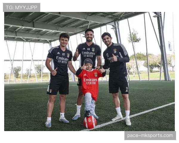 布鲁日阵容深度