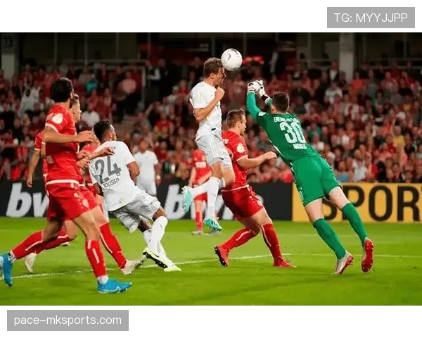 德甲弗赖堡复兴 德甲弗赖堡复兴