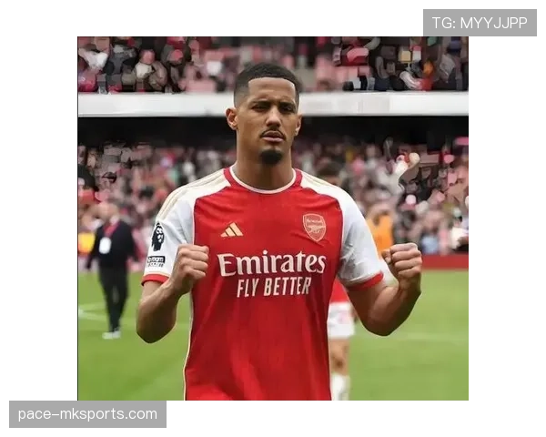 威廉·萨利巴伤缺对争冠走势的直接影响分析